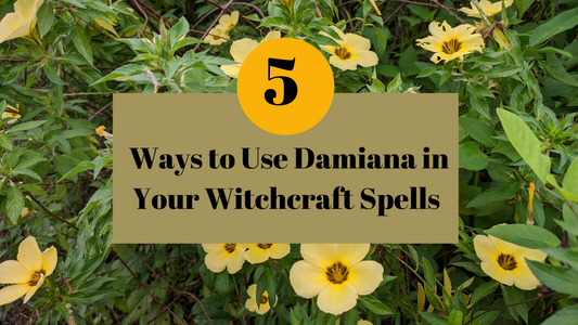 5 Ways to Use Damiana in Your Witchcraft Spells